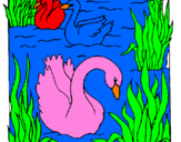 Coloring page Swans painted byIEVA 