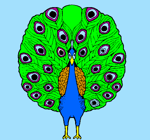 Coloring page Peacock painted bymariana