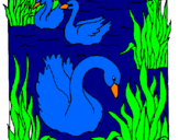 Coloring page Swans painted byazul 