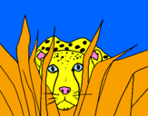 Coloring page Cheetah painted bywill