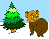 Coloring page Bear and fir tree painted byASDRUBAL