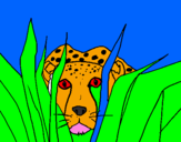 Coloring page Cheetah painted byeva