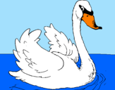 Coloring page Swan in water painted byCuti3Pi3