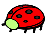 Coloring page Ladybird painted bybuddy bear