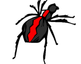 Coloring page Black Widow spider painted byblack widow