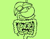 Coloring page Intestines painted byiarbntt