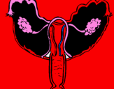 Coloring page Vagina painted bygustavo