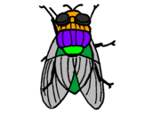 Coloring page Black fly painted byIvy