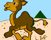 Coloring page Camel painted byluis