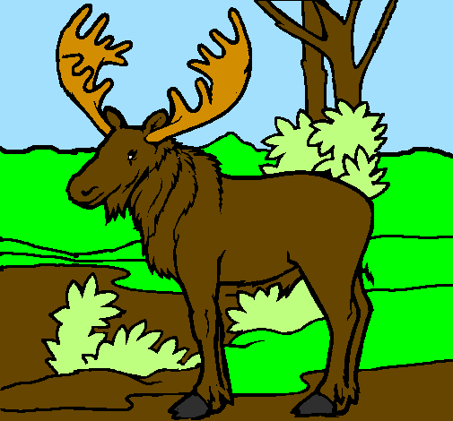 Coloring page Moose painted byhaleigh