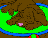 Coloring page Sleeping dog painted bygabriel viana