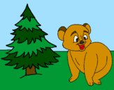 Coloring page Bear and fir tree painted byfranco