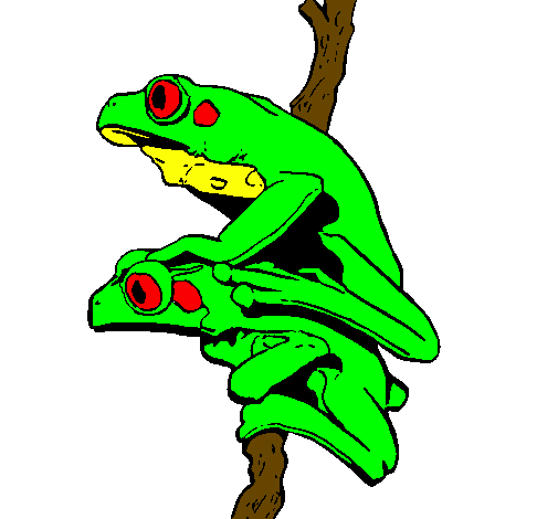 Coloring page Frogs painted bygabriel viana