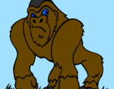 Coloring page Gorilla painted byJimmy