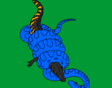 Coloring page Anaconda and caiman painted byJALEN