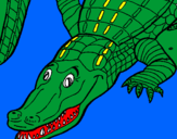 Coloring page Crocodile painted byJALEN