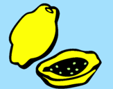 Coloring page Papaya painted byLimon