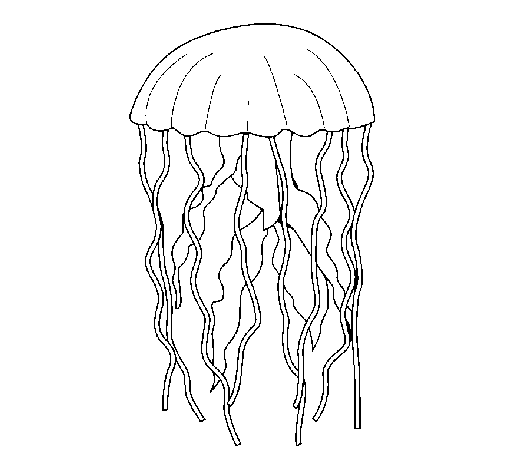Coloring page Jellyfish painted byemel