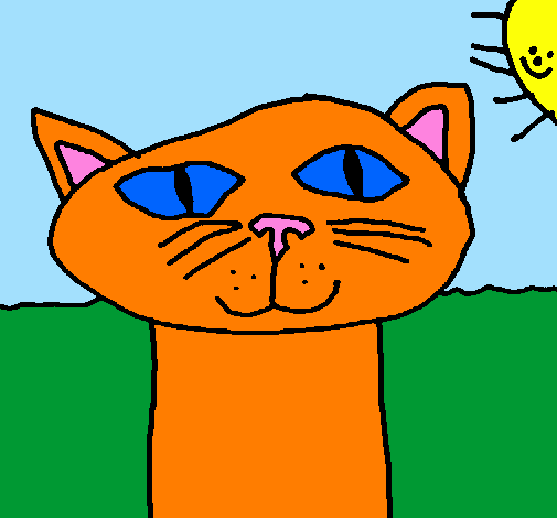 Cat 11