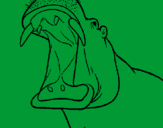 Coloring page Hippopotamus with mouth open painted by.CDJÇMPJÇ0-P