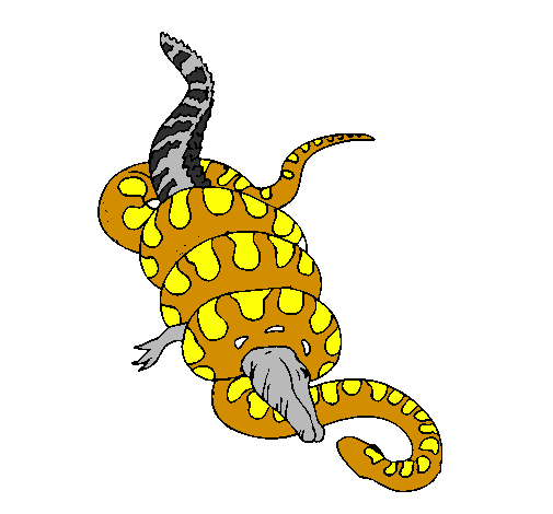 Anaconda and caiman