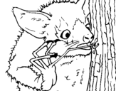 Coloring page Aye-aye looking for insects painted bylucas