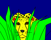 Coloring page Cheetah painted bychloe
