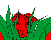 Coloring page Cheetah painted bynicolas ospina