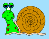Coloring page Snail painted by  ERIKA