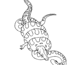 Coloring page Anaconda and caiman painted bysamuel
