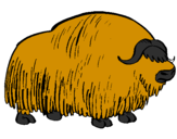 Coloring page Bison painted bylalachica