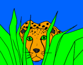 Coloring page Cheetah painted bysnoopyfan