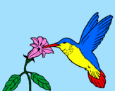 Coloring page Hummingbird and flower painted bylalachika