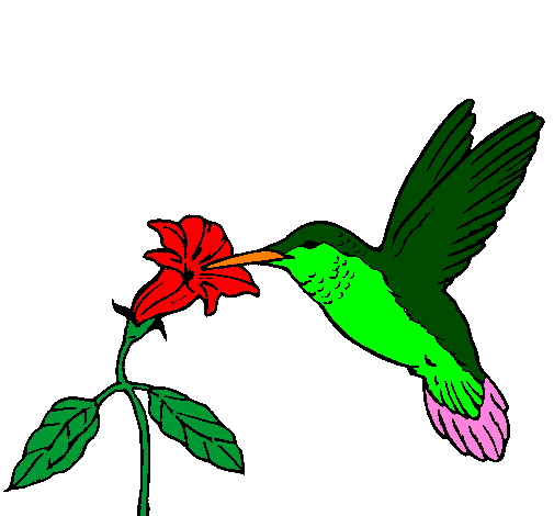 Coloring page Hummingbird and flower painted bydiego