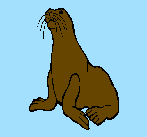 Coloring page Seal painted bynicoe