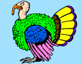 Coloring page Turkey painted byPERU