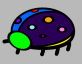 Coloring page Ladybird painted byl dragoa