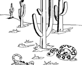Coloring page Desert painted bycamilo