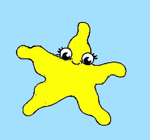 Starfish 4