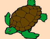 Coloring page Turtle painted bymorgan miller