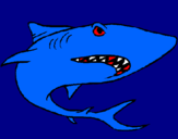Coloring page Shark painted byjuaquni
