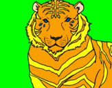 Coloring page Tiger painted byana clara