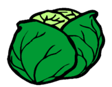 Coloring page cabbage painted bykk