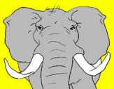 Coloring page African elephant painted bypaco