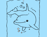 Coloring page Dolphin painted bykau~]a