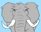 Coloring page African elephant painted byrex