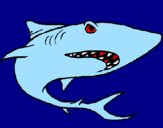 Coloring page Shark painted byrex