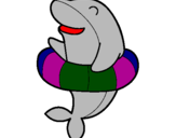 Coloring page Dolphin painted byaryan