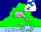 Coloring page Dolphin and seagull painted byLucca     eu    bruce
