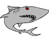Coloring page Shark painted bymathus m